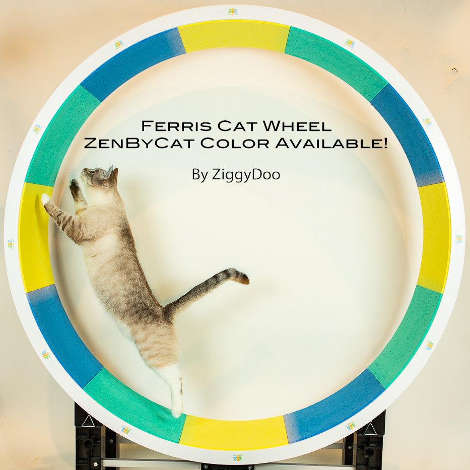 ferris wheel cat