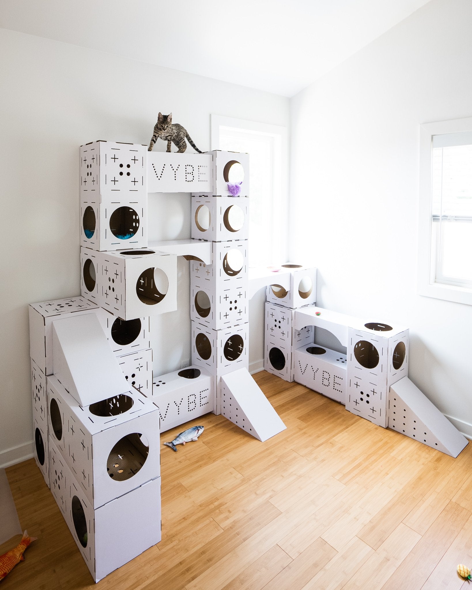 vibe cat castle