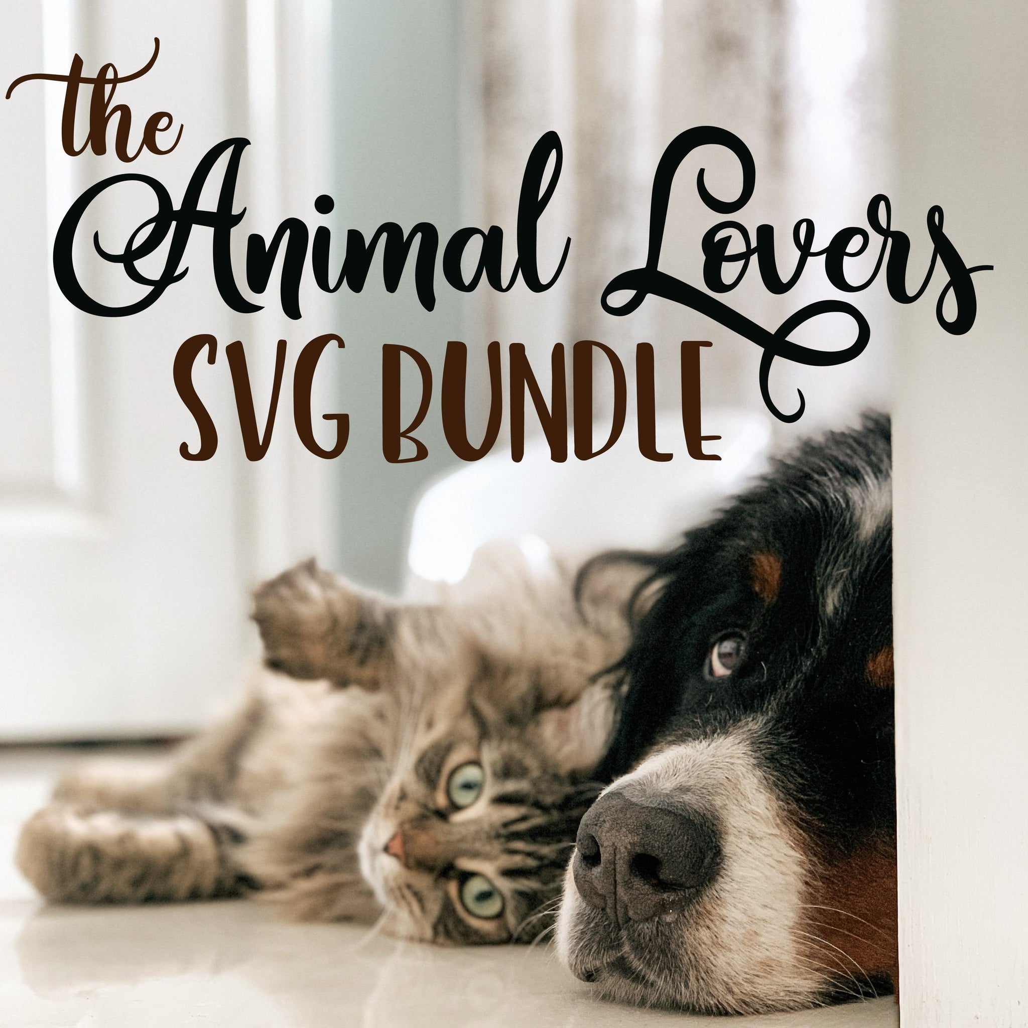Download Animal Lovers Svg Bundle With Lifetime Updates Board Batten Design Co