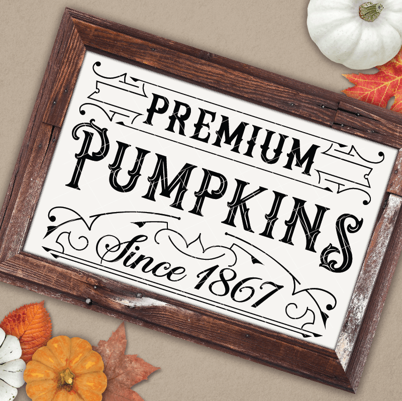 Download Vintage Premium Pumpkins SVG File - Board & Batten Design Co.