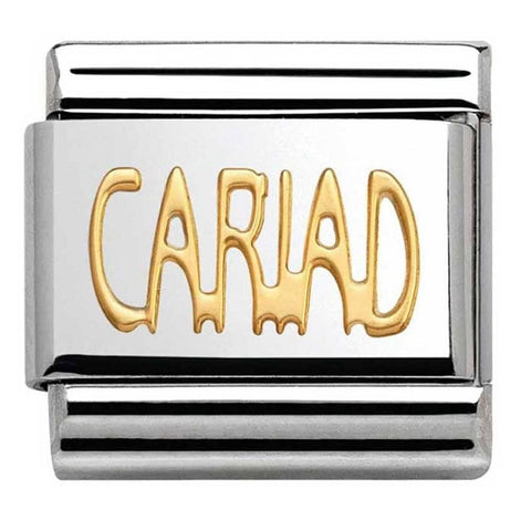 Nomination Classic Gold Charm - Cariad