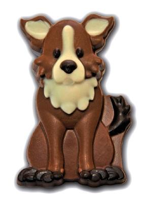 chocolate-sheepdog-novelty-maple