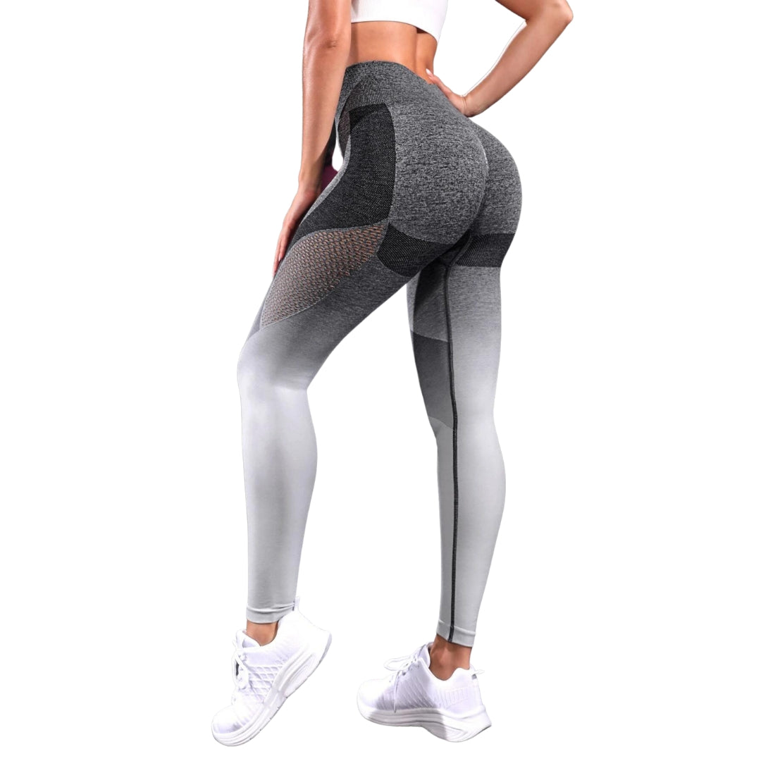 Mariam Ombre Hollow Out Leggings – AECH ACTIVE