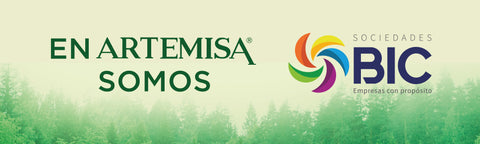 Artemisa SAS BIC - Quienes Somos