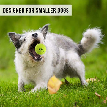 Hyper Pet Tennis Balls for Dogs (Dog Ball Dog Toys for Exercise