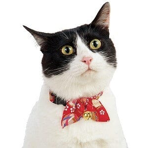Pet Supplies : Necoichi Ninja Cat Collar (Green) 