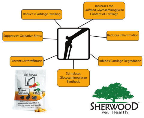 Sherwood Joint Support Points