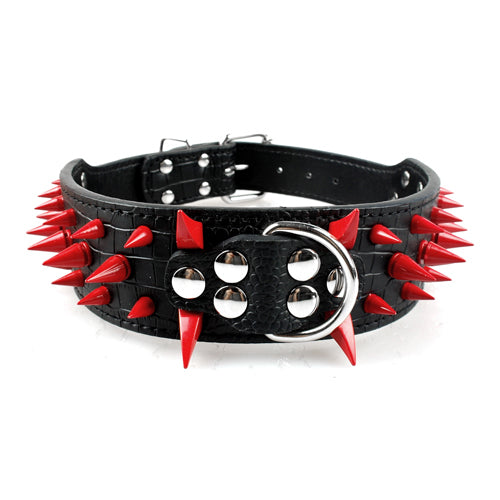 Studded Tough Dog Collar – The Proud Pup