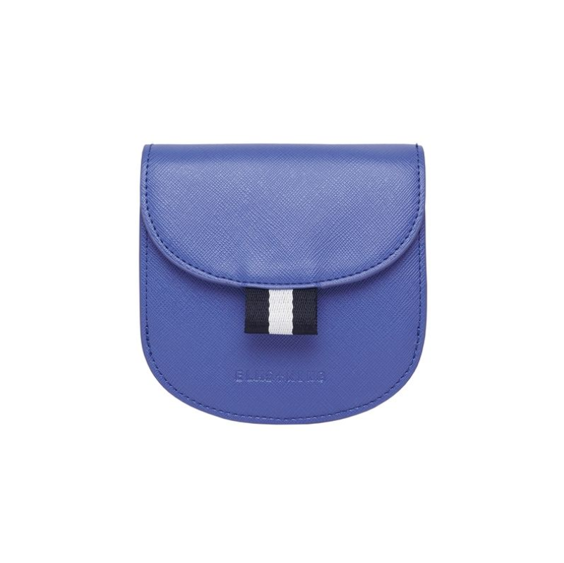 cornflower blue purse