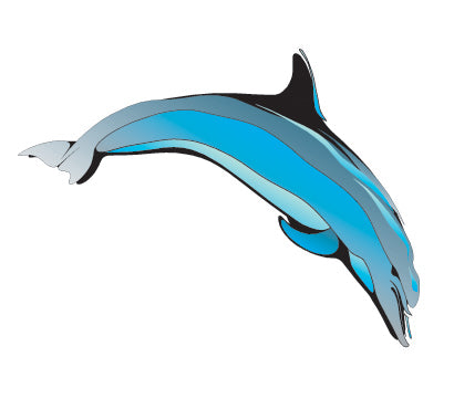 fire emblem radiant dawn save transfer dolphin