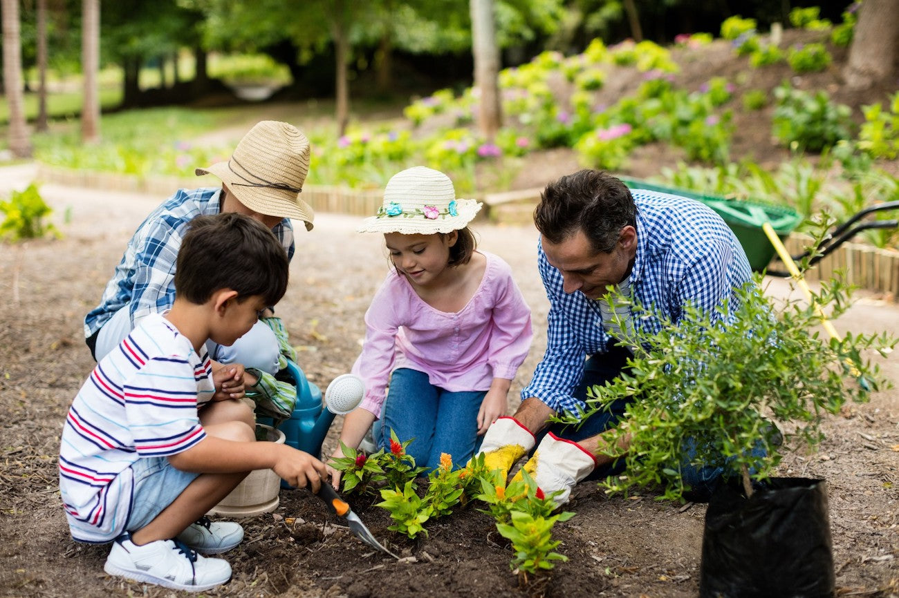 Benefícios e importância de jardinagem com sua família