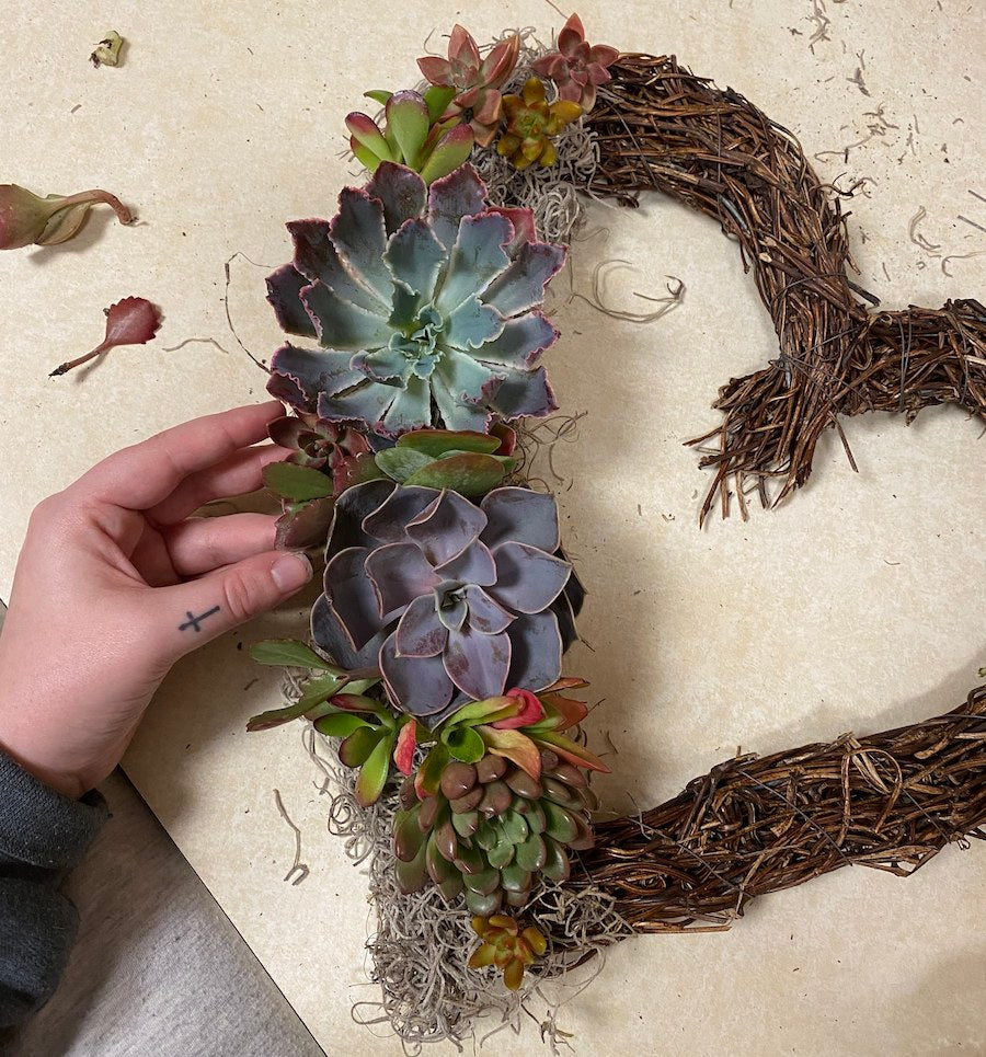 Finished Succulent Wreath