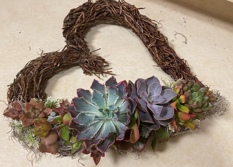 Succulent Wreath - DIY Creation