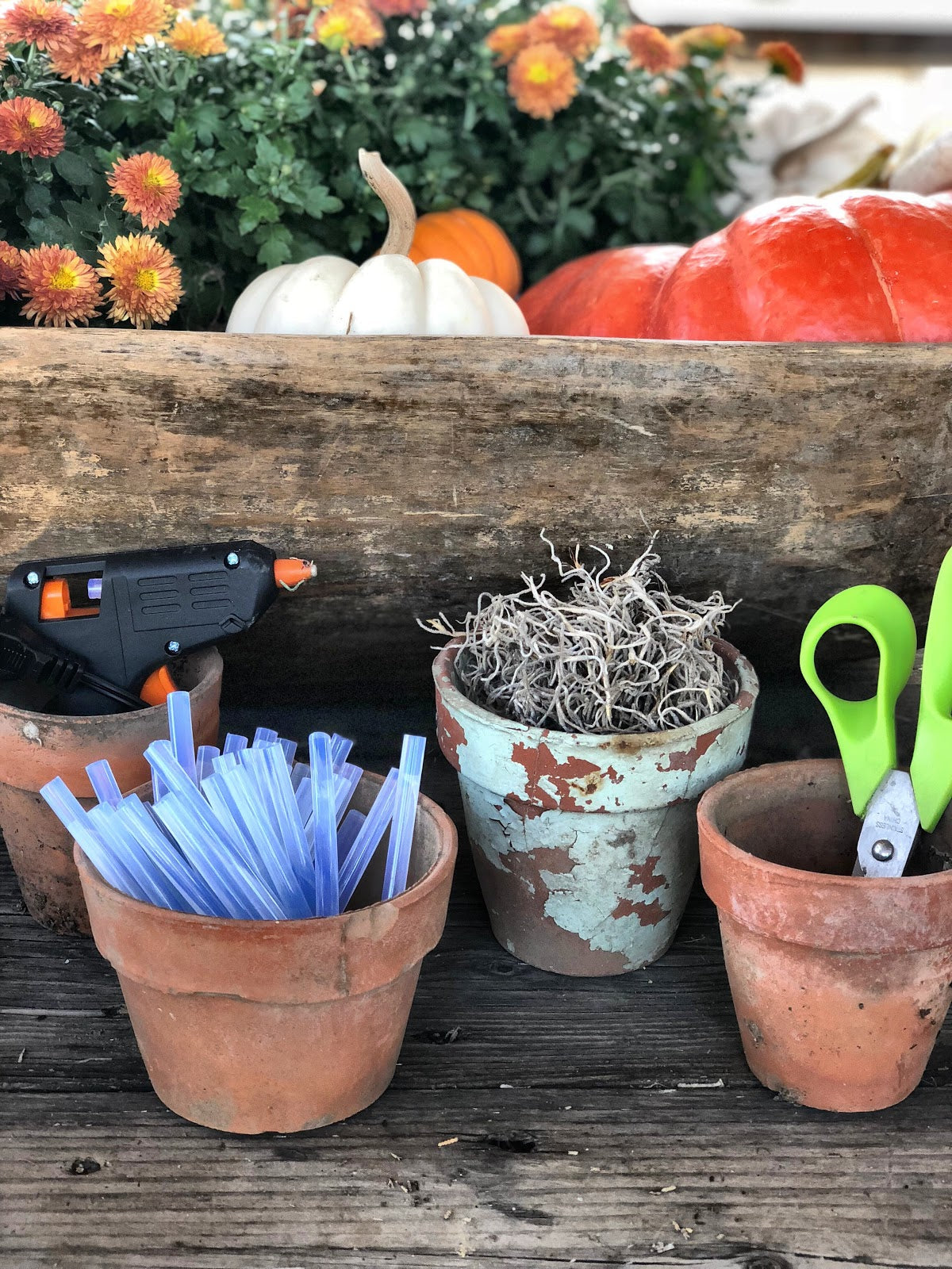 Tools needed to create succulent pumpkin arrangement