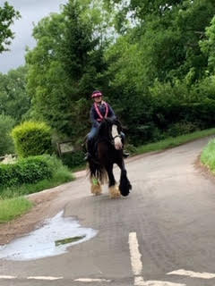 BTR reflective pink high vis bib and vest worn by a horse rider