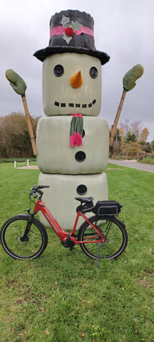 customer photo review of our BTR rear rack bag with a snowman