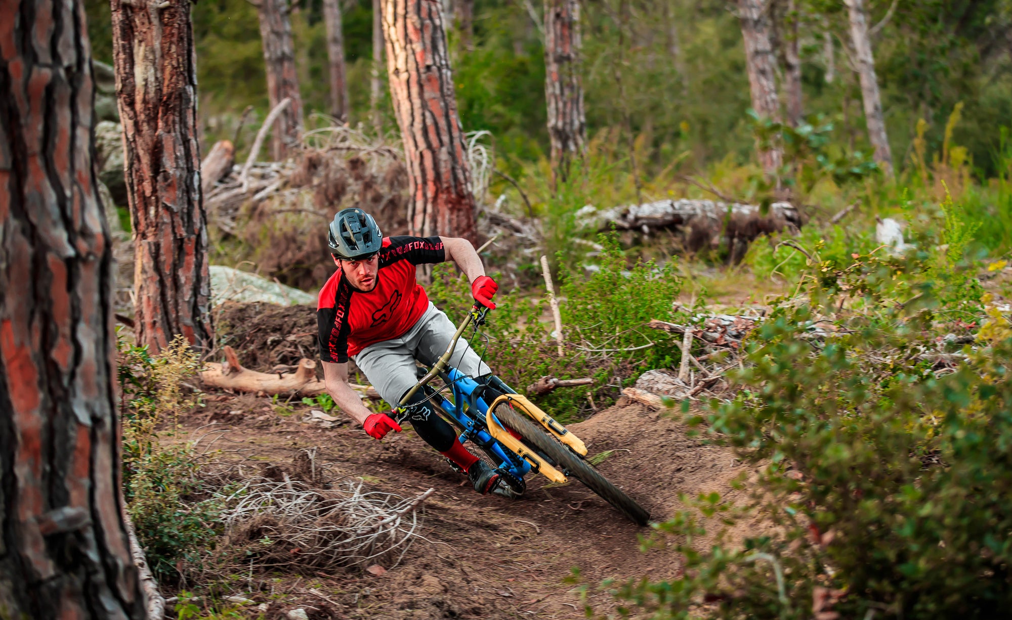 Fox Mountain Bike Downhill Рё