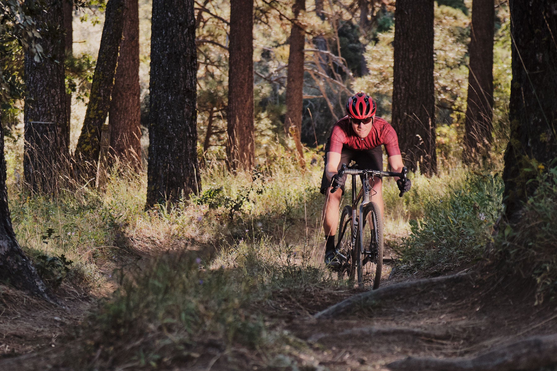 giant bicycles near me