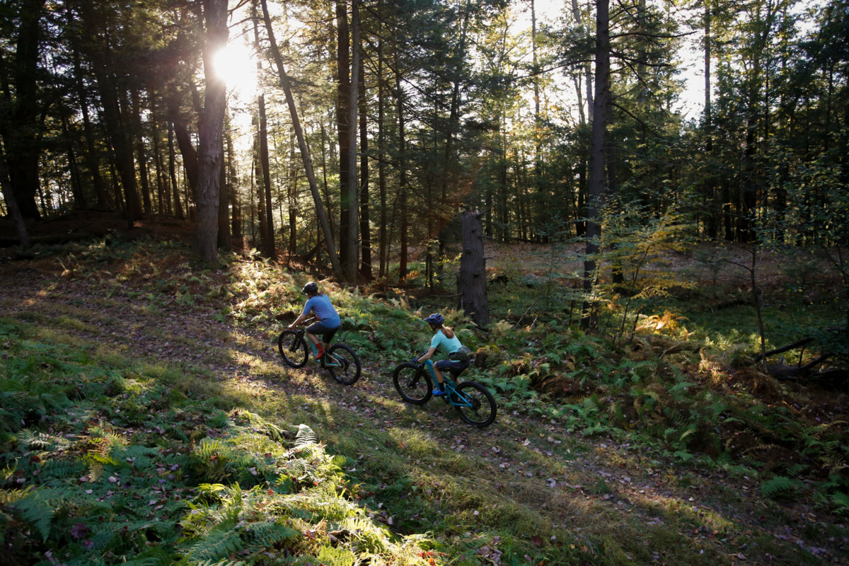 Riding mountain bikes through the forest