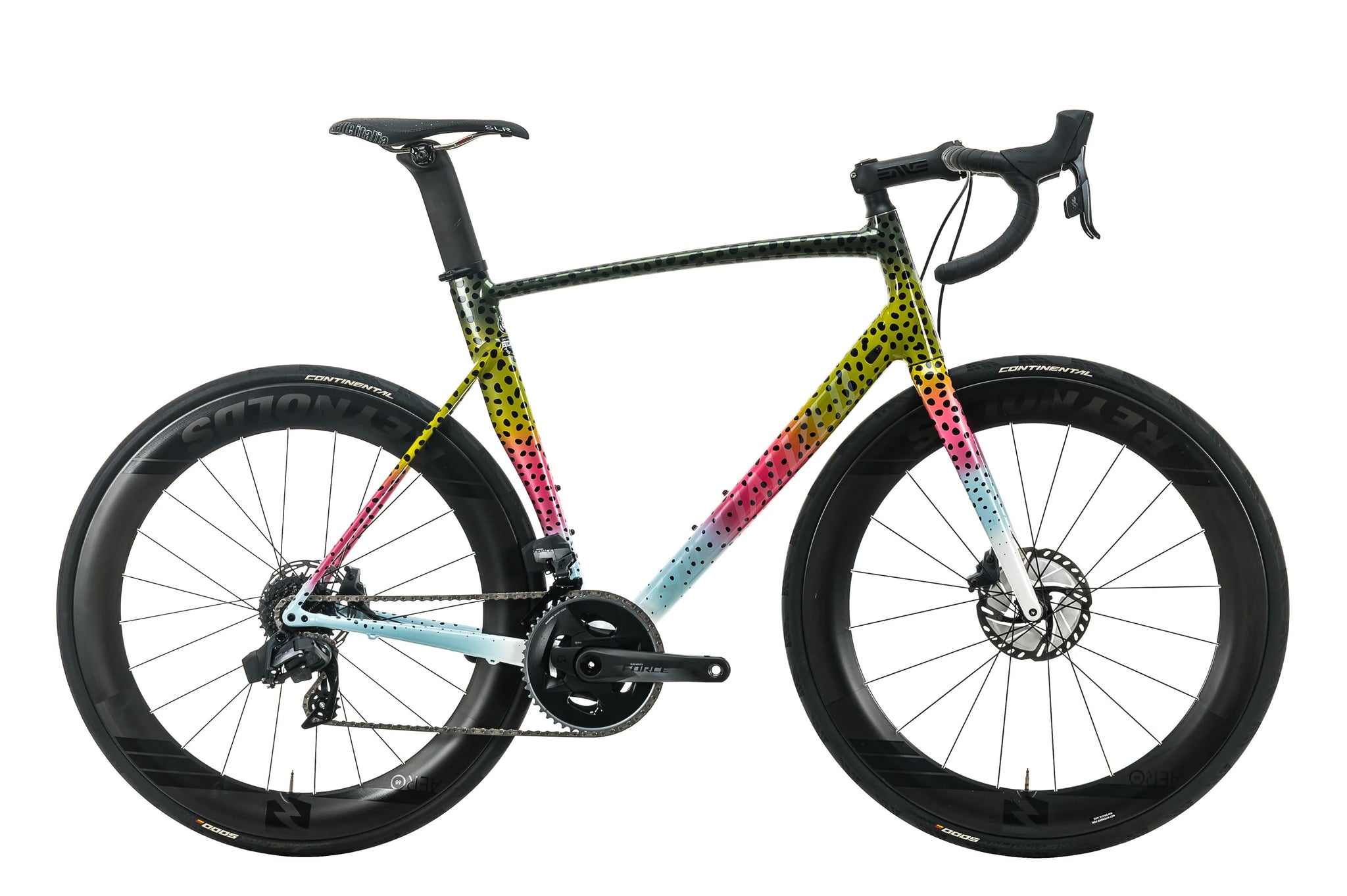 Allez Sprint rainbow trout