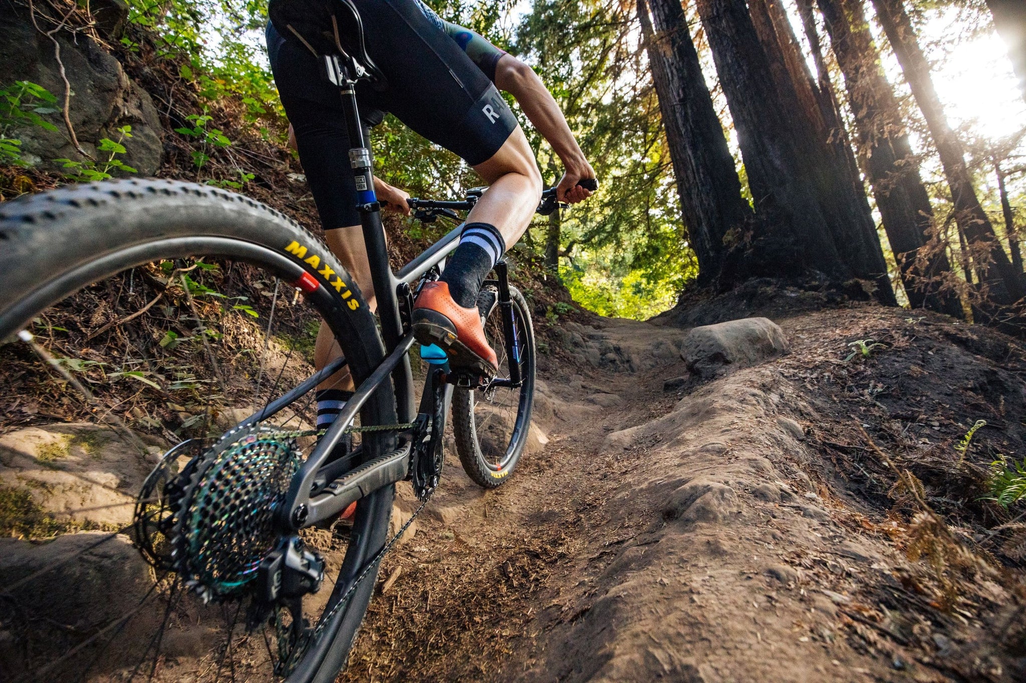 Santa Cruz Blur TR downcountry