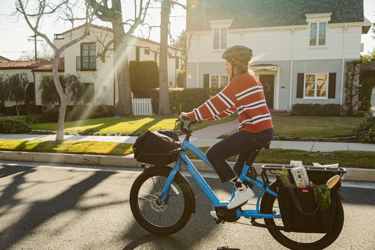 Cargo e-bike