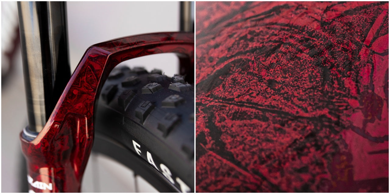 Specialized Epic World Cup paint