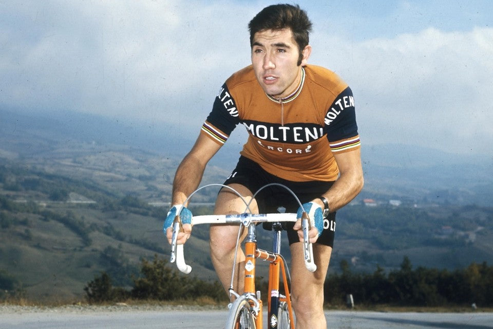 Eddy Merckx Molteni
