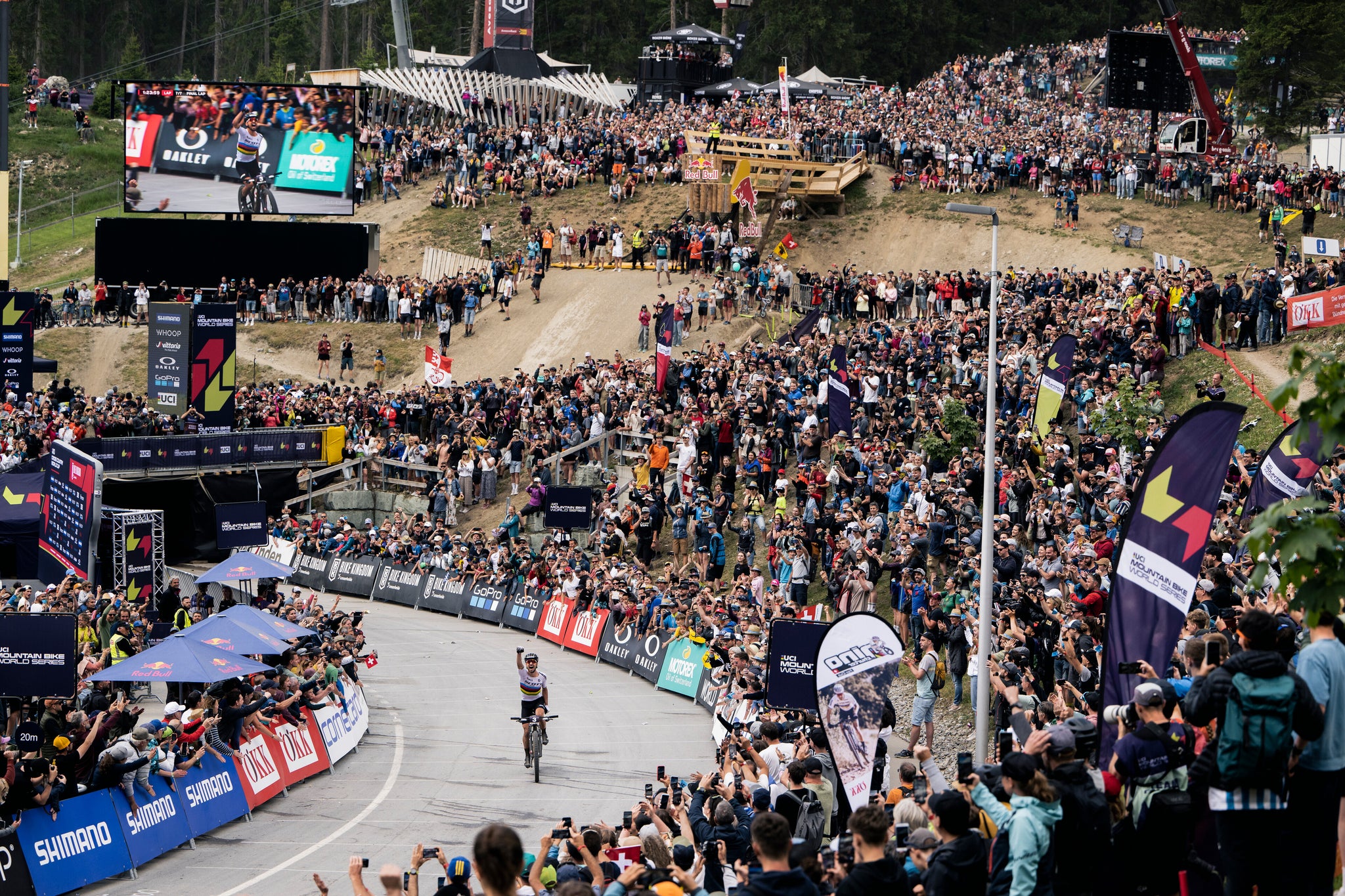 Nino Schurter Flight Attendant win