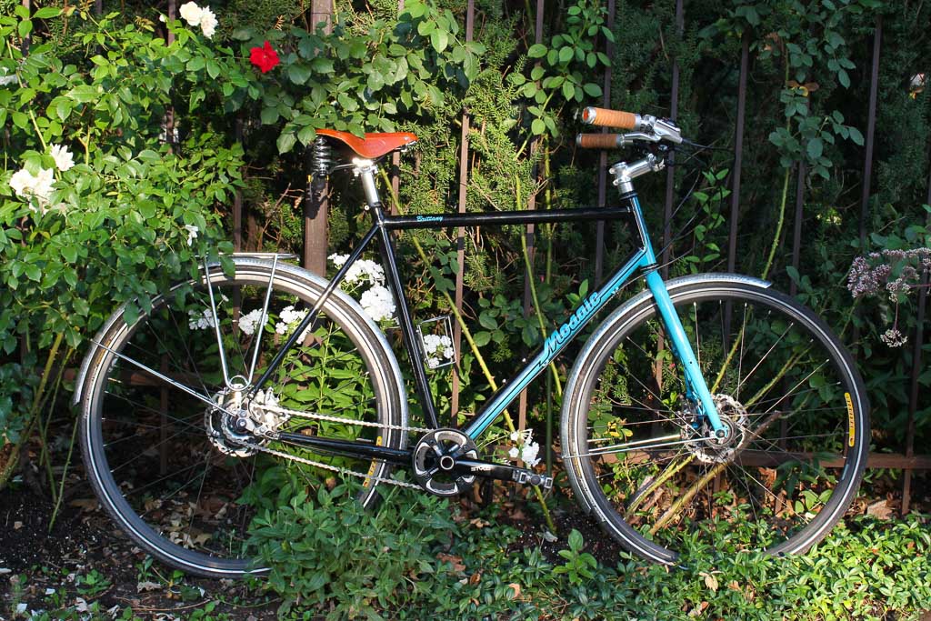 What We Ride: Brittany's Mosaic Townie