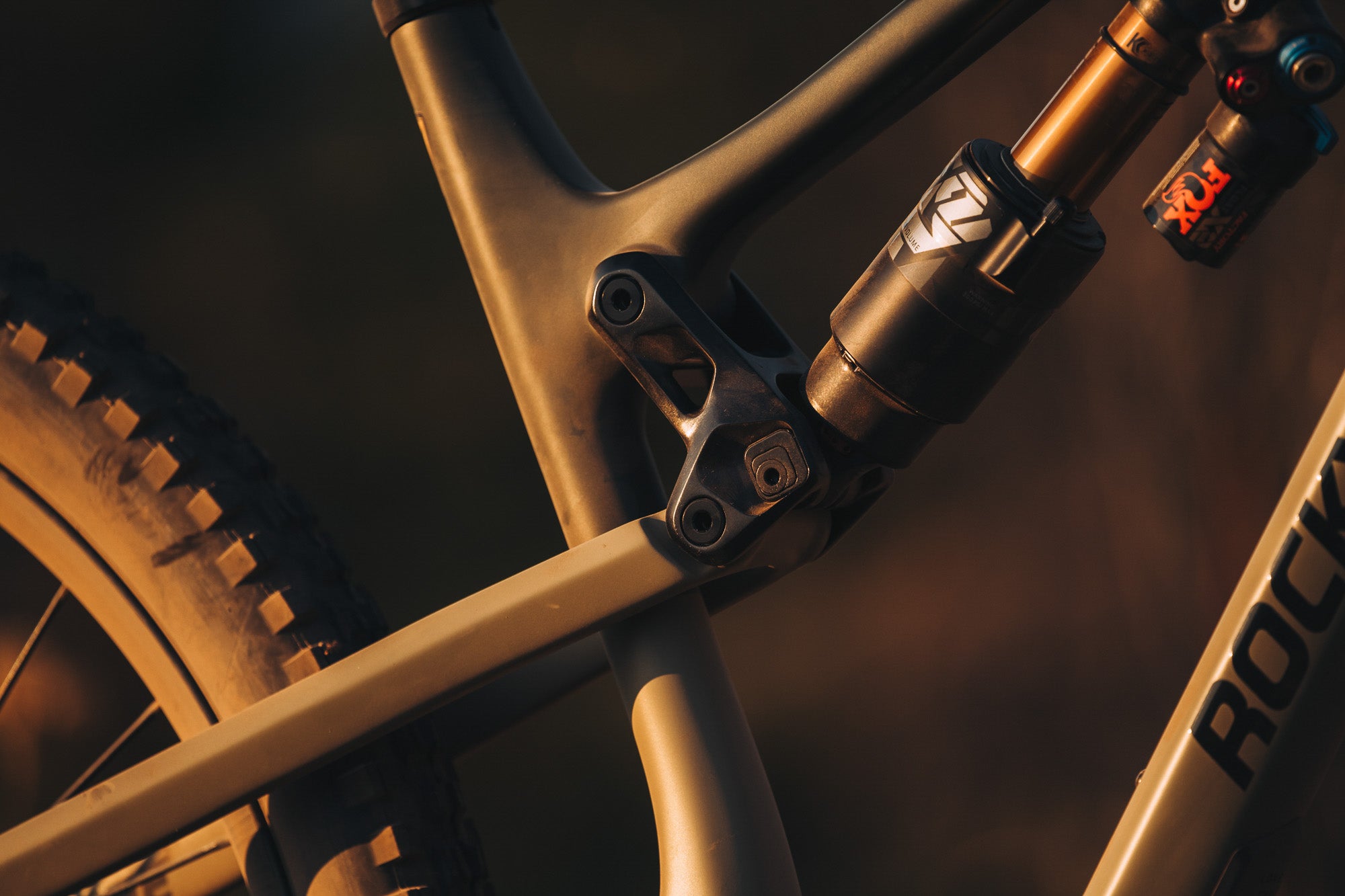 Rocky Mountain bike suspension flip chip