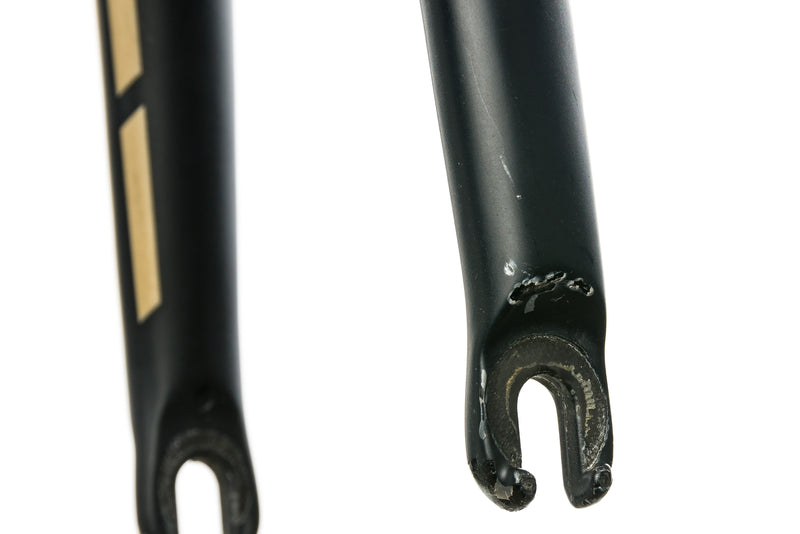 trek carbon fork