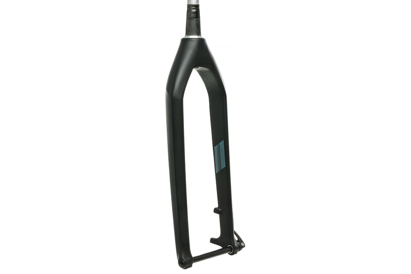 fatbike carbon fork