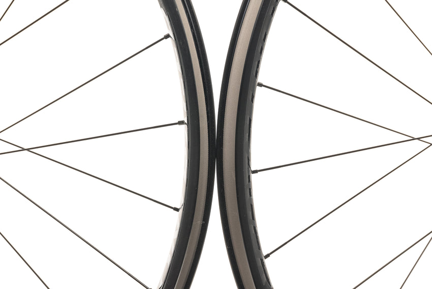 Bontrager Paradigm Comp 25 TLR Disc Aluminum Cli | The Pro's Closet