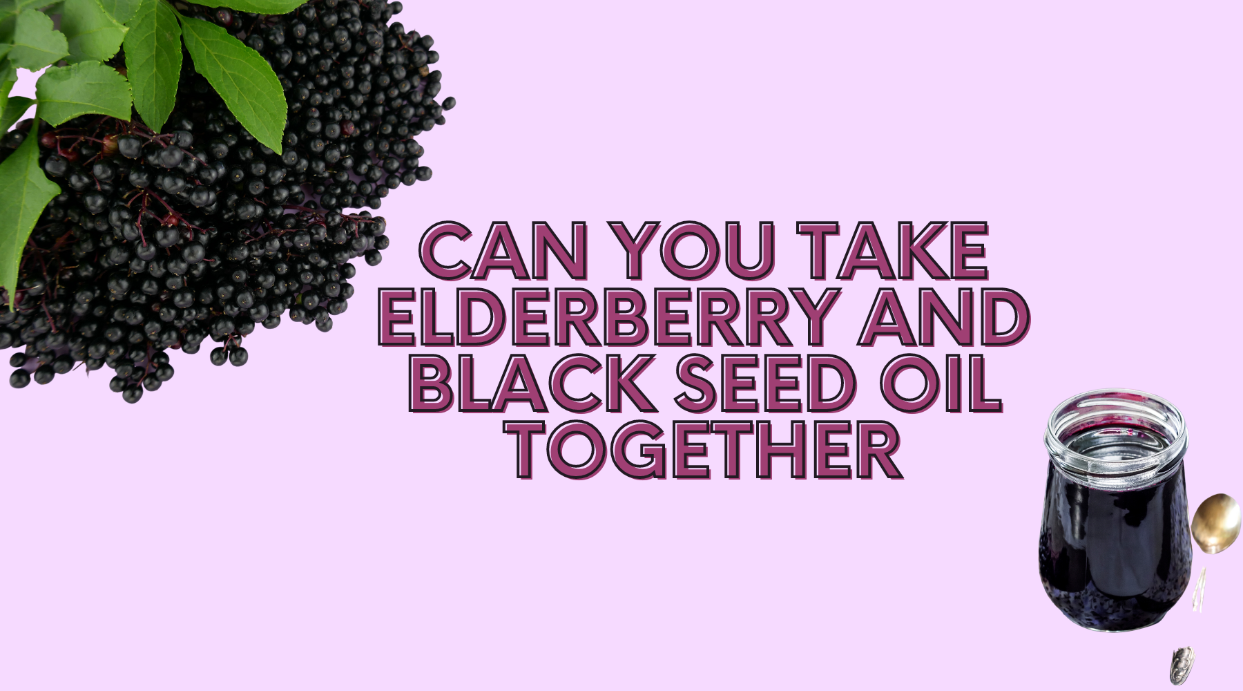 can you take elderberry and black seed oil together