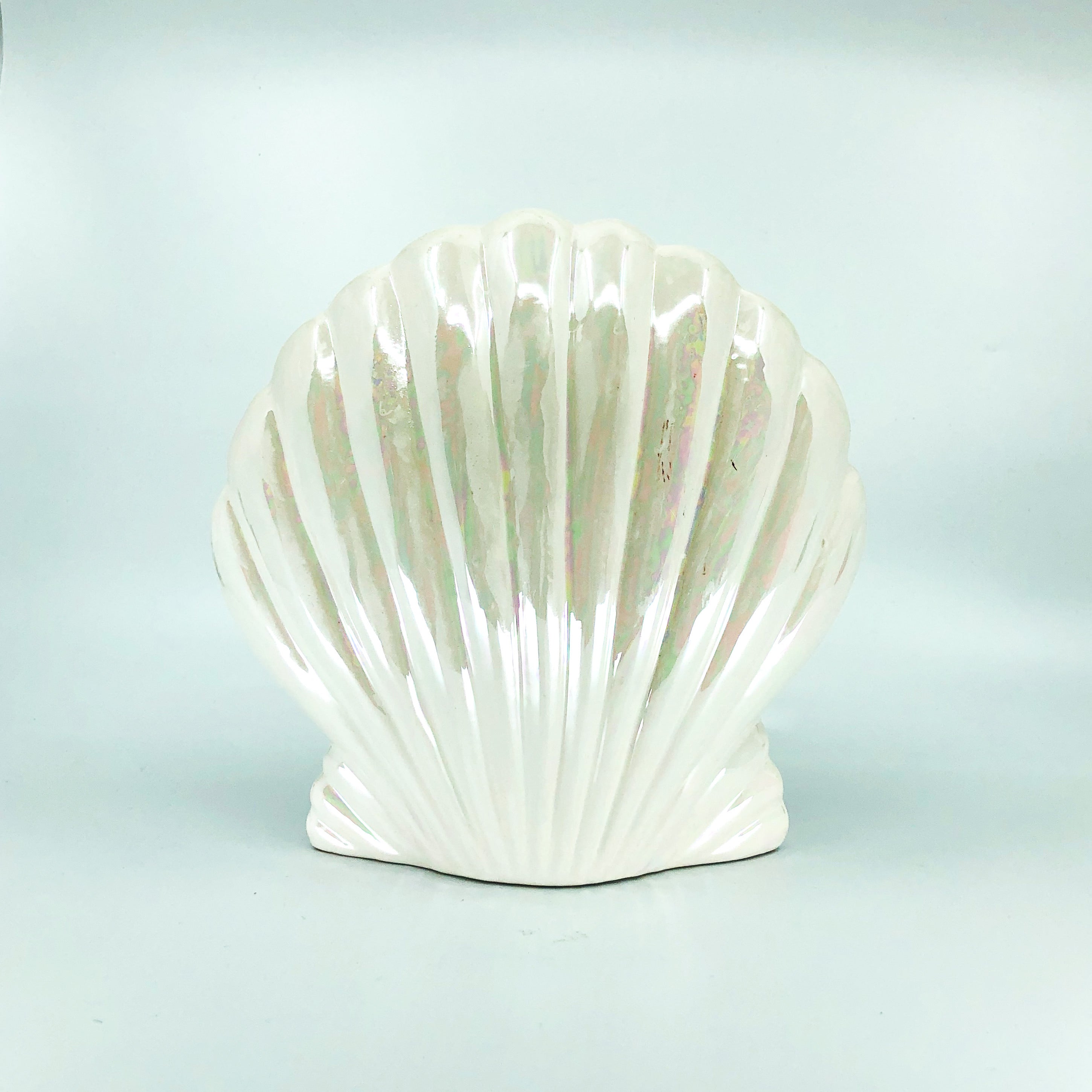 Pearlescent Shell Coin Bank