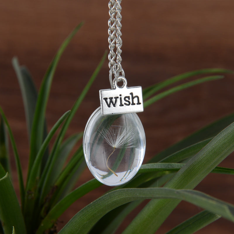 Wish Glass Bottle Necklace