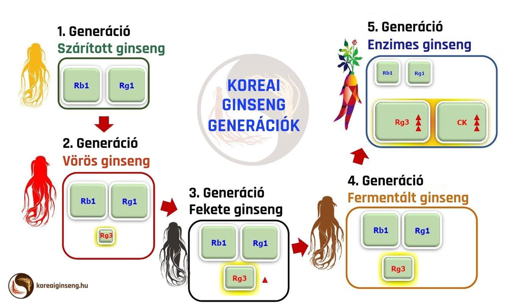 Koreai Ginseng Generációk - melyik a legjobb ginseng kapszula