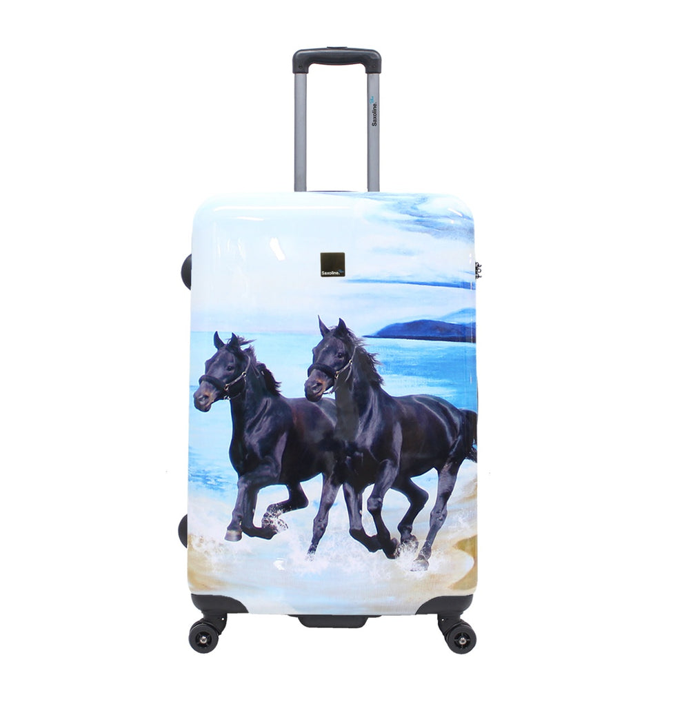 cassini luggage pony