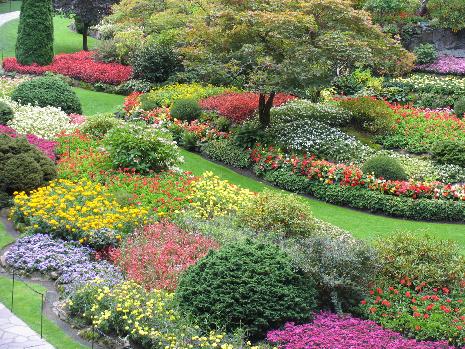 Landscape Plants - Scenic Hill Farm Nursery