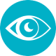 Vision Logo