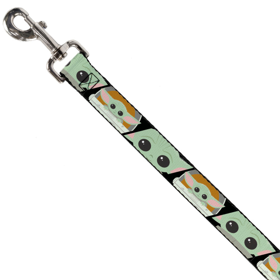 star wars dog lead