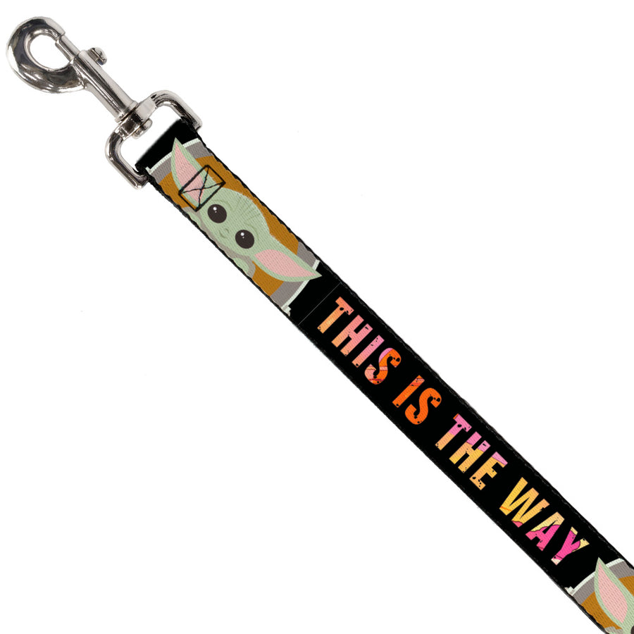 star wars dog lead