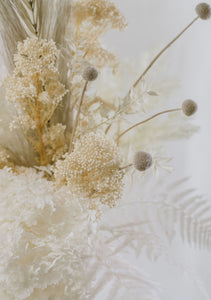 White Everlasting Flowers