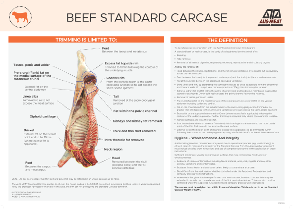 Beef Standard Carcase Poster – Aus Meat Limited