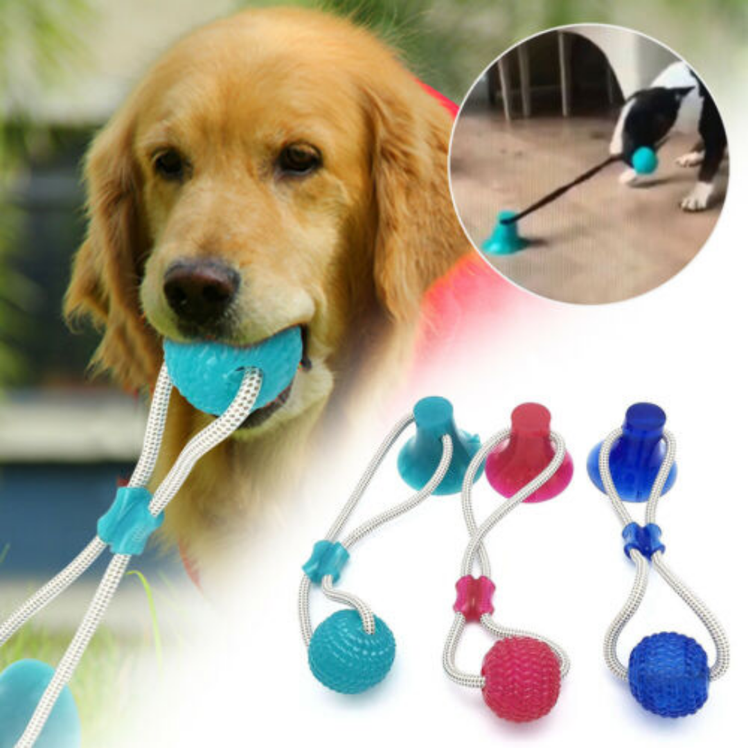 dog pull toy suction cup