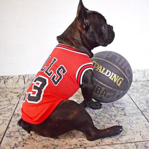 nba dog jerseys