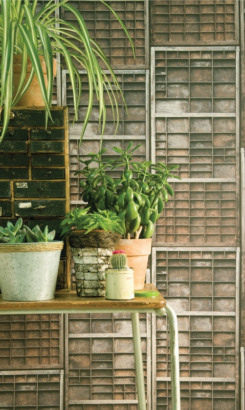 Ella Doran's Letterpress wallpaper design with potted plants