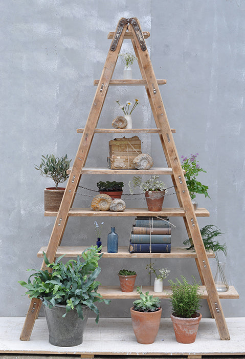 rustic standing ladder storage and display unit from homebarn