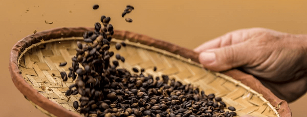 Les 8 meilleurs cafés en grains par Coffee-Webstore